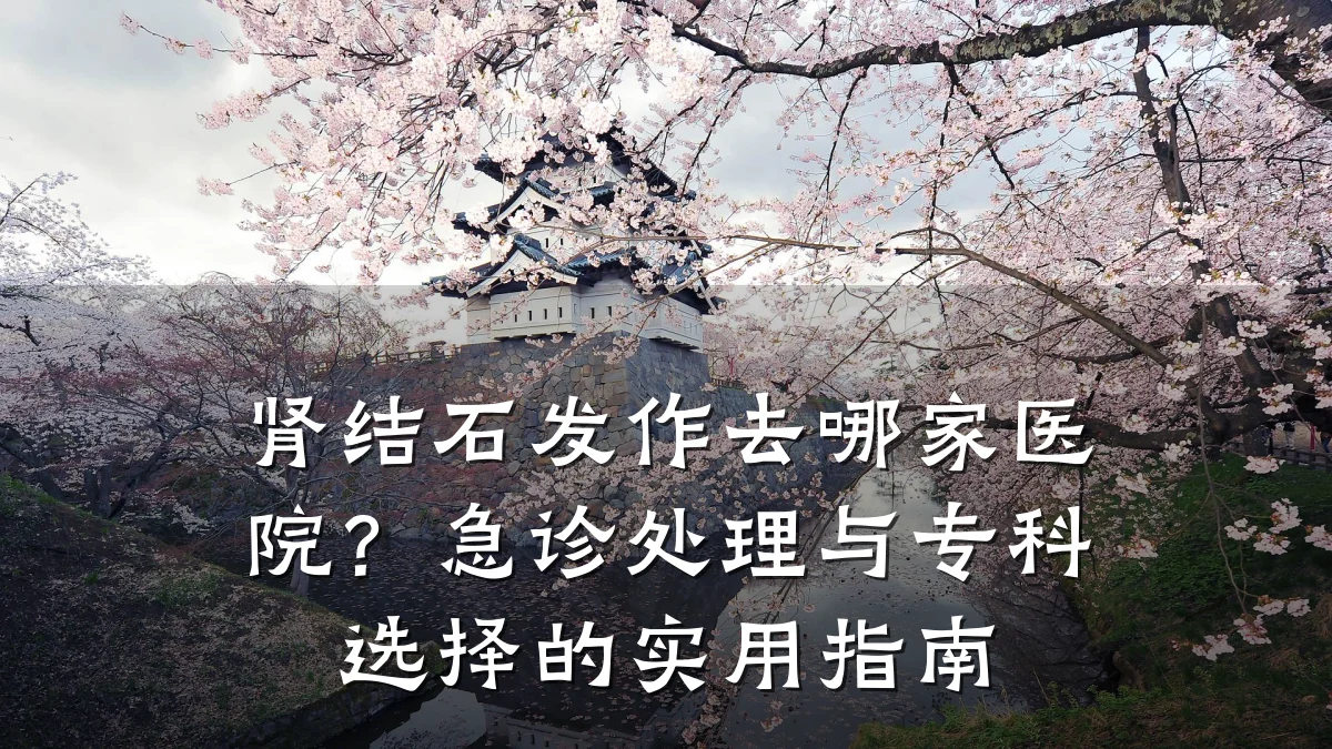 肾结石发作去哪家医院?急诊处理与专科选择的实用指南