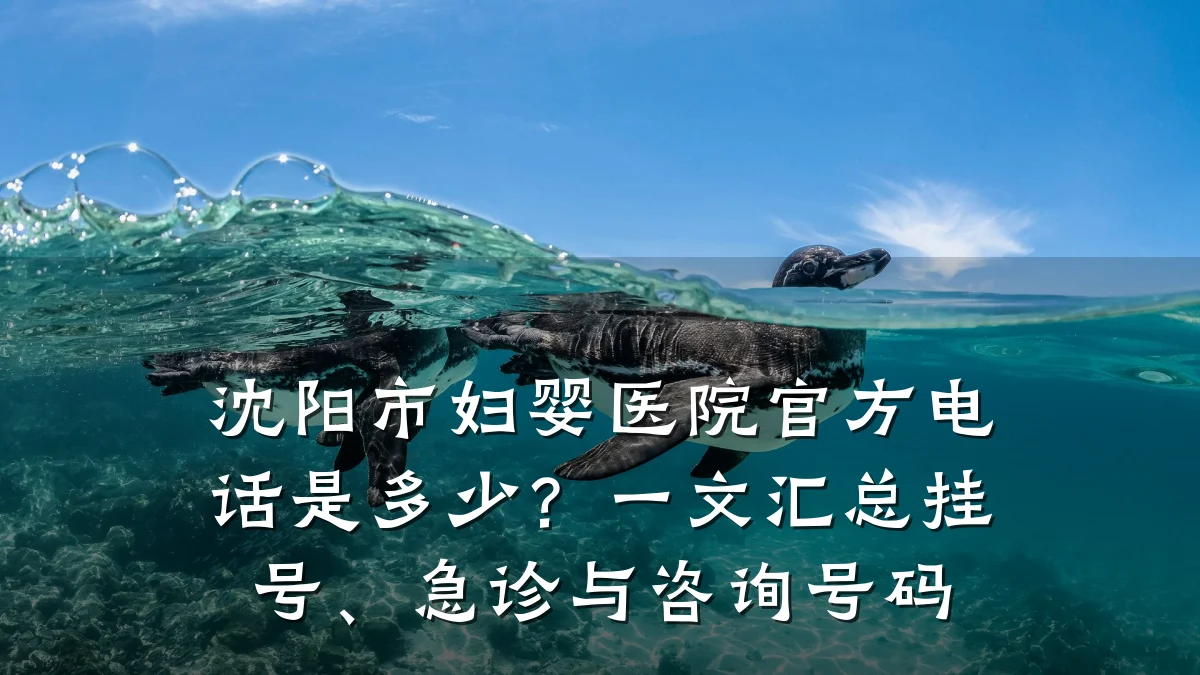 沈阳市妇婴医院官方电话是多少？一文汇总挂号、急诊与咨询号码
