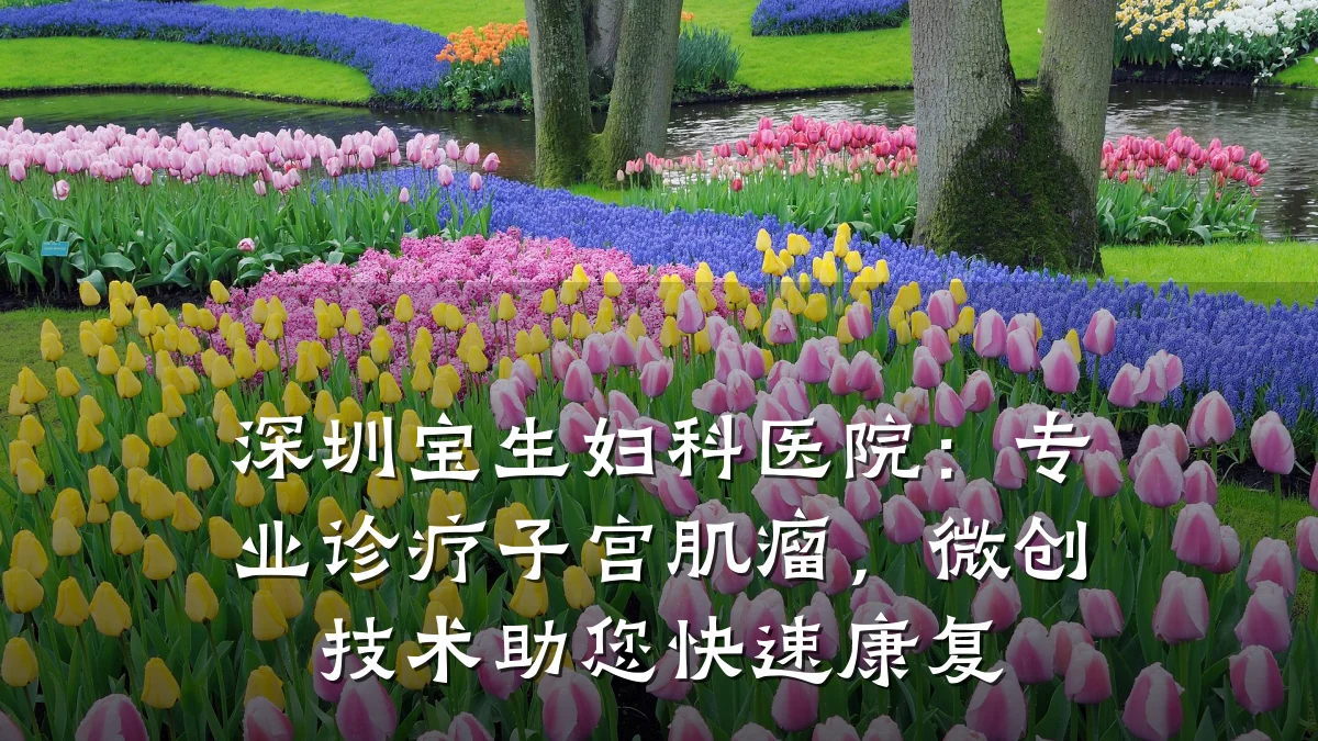 深圳宝生妇科医院：专业诊疗子宫肌瘤，微创技术助您快速康复
