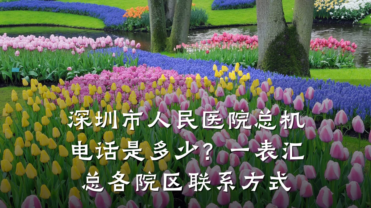 深圳市人民医院总机电话是多少?一表汇总各院区联系方式