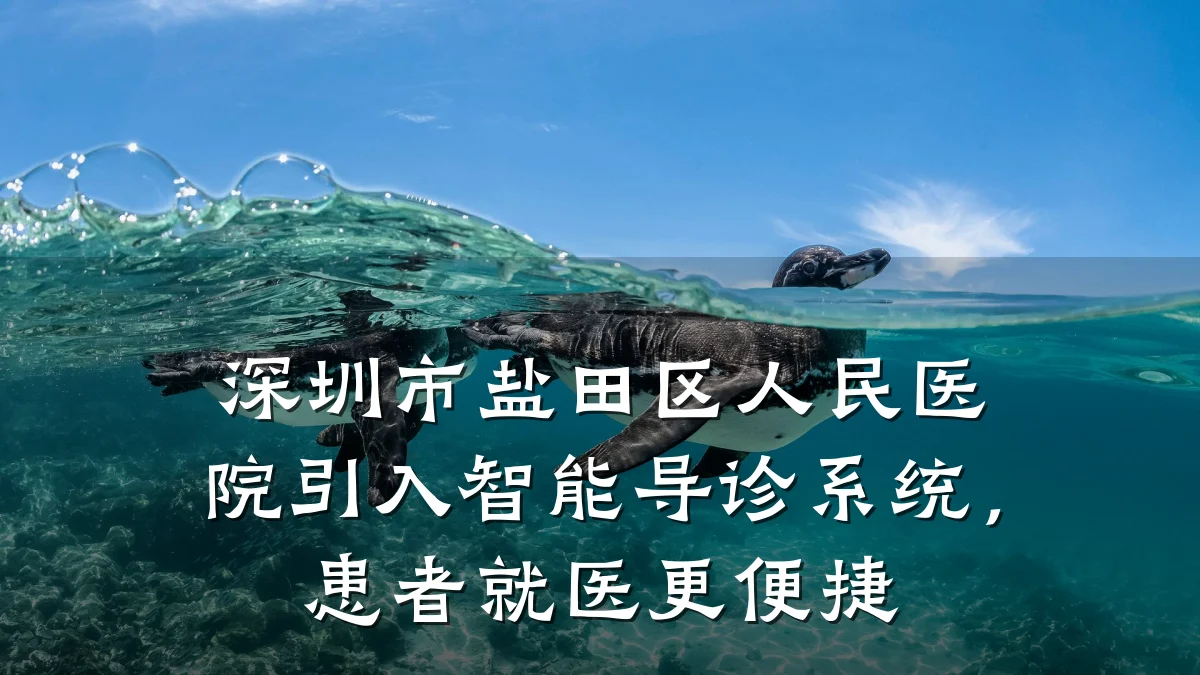 深圳市盐田区人民医院引入智能导诊系统,患者就医更便捷