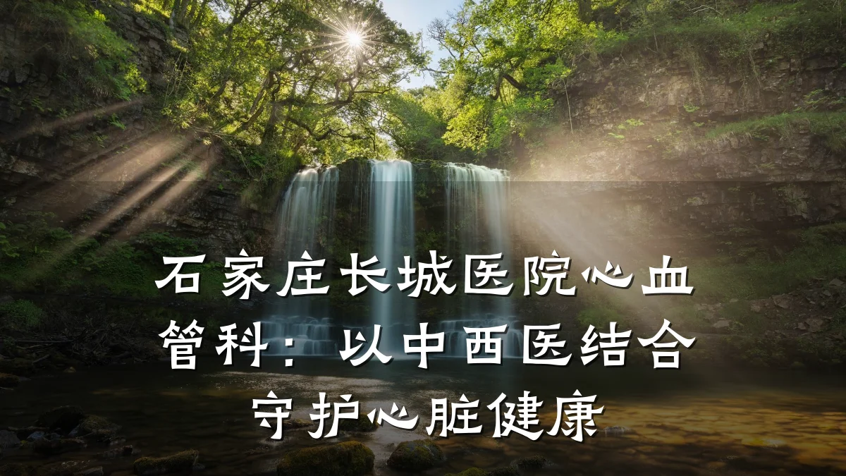 石家庄长城医院心血管科:以中西医结合守护心脏健康