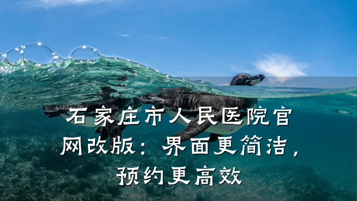 石家庄市人民医院官网改版:界面更简洁,预约更高效