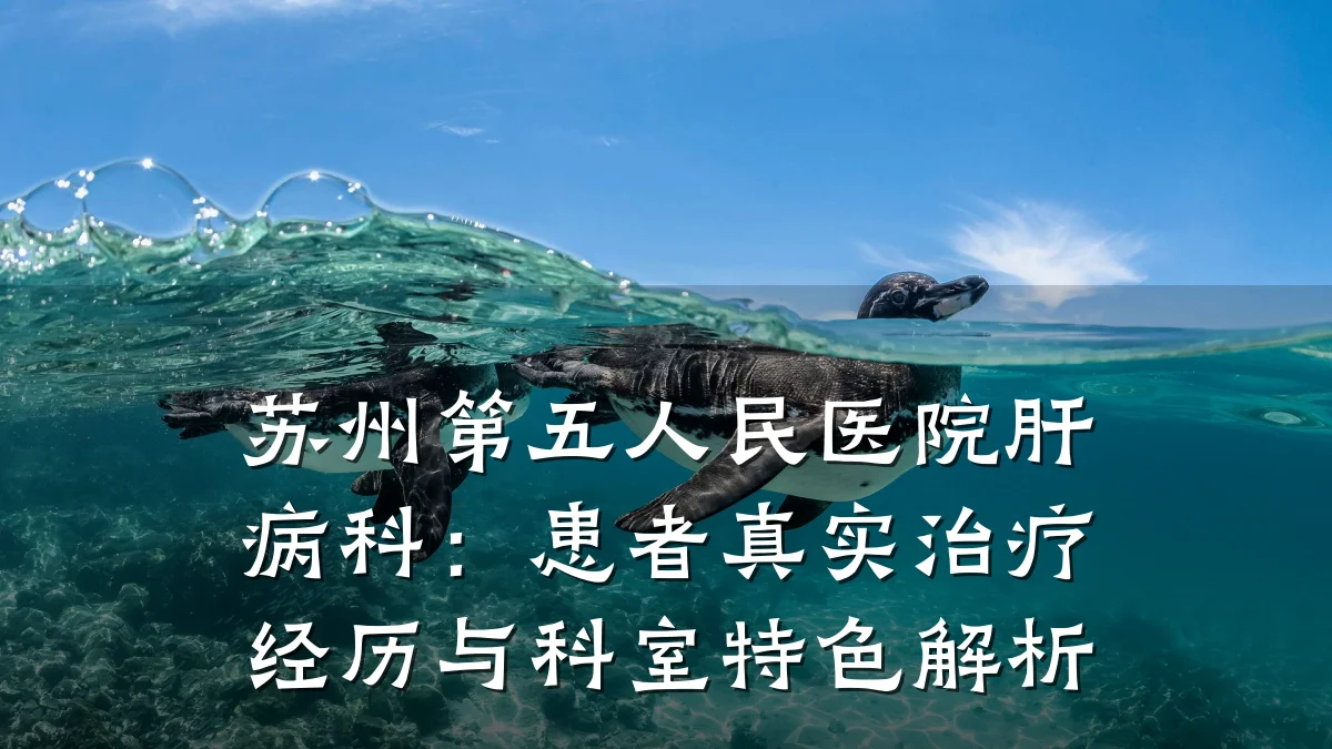 苏州第五人民医院肝病科:患者真实治疗经历与科室特色解析