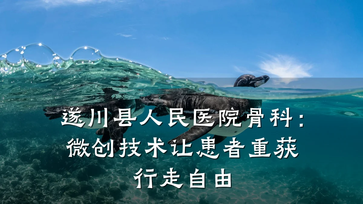 遂川县人民医院骨科:微创技术让患者重获行走自由