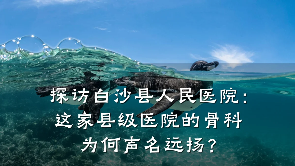 探访白沙县人民医院:这家县级医院的骨科为何声名远扬?