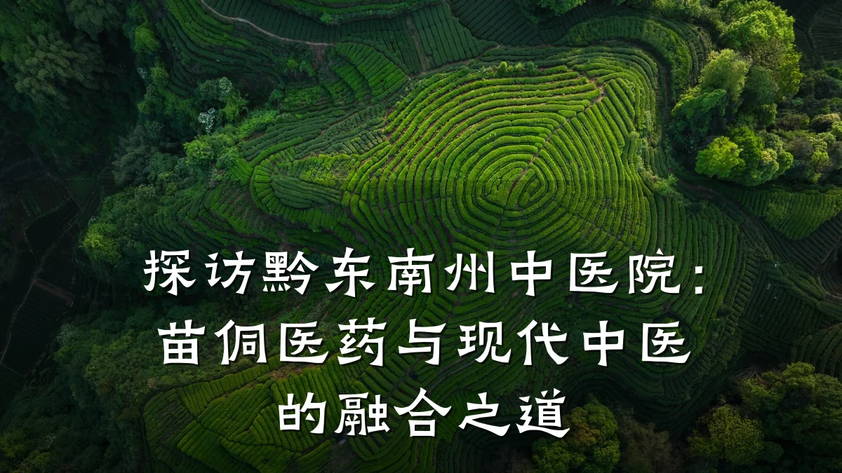 探访黔东南州中医院:苗侗医药与现代中医的融合之道