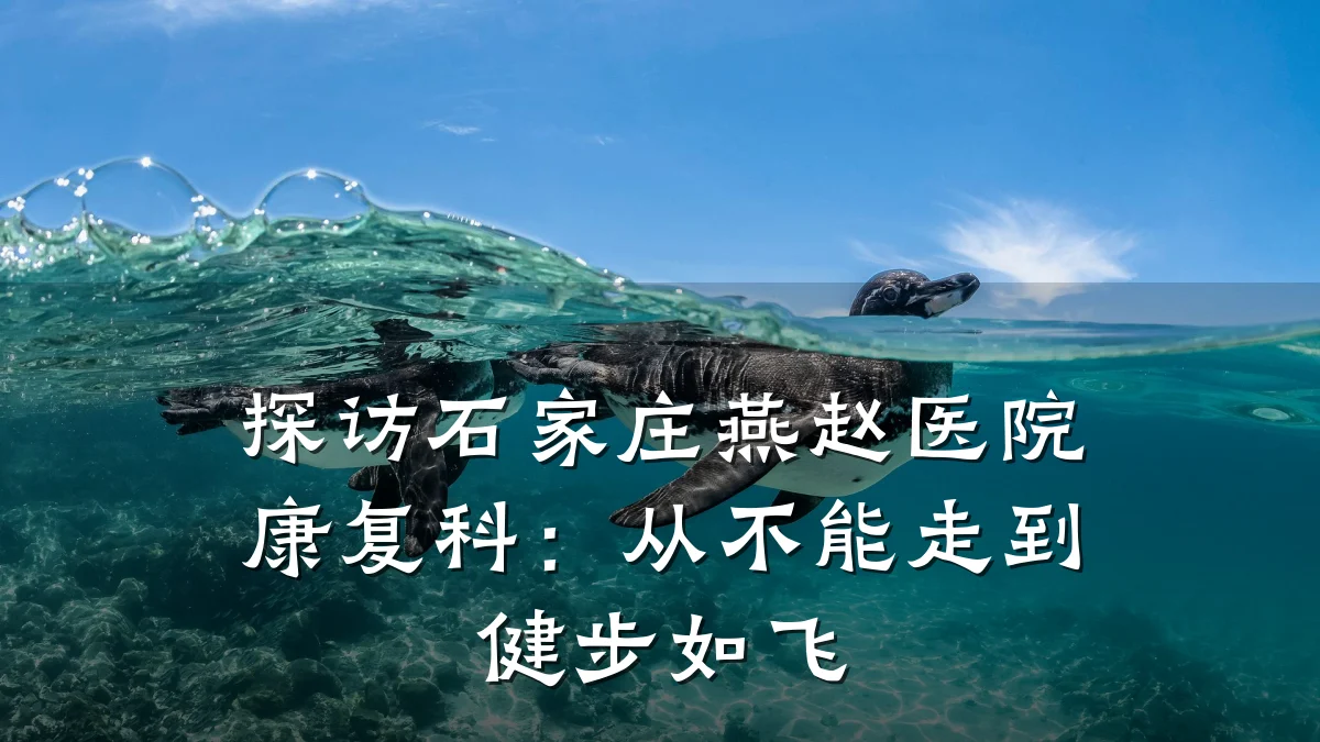 探访石家庄燕赵医院康复科：从不能走到健步如飞