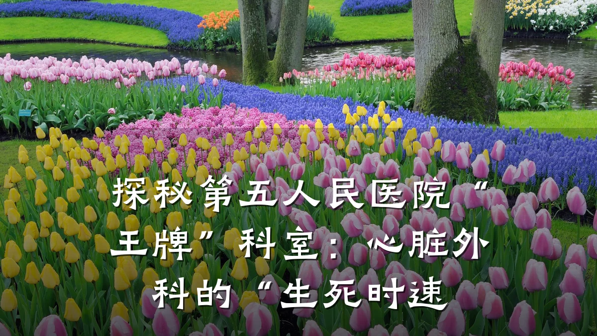 探秘第五人民医院“王牌”科室:心脏外科的“生死时速