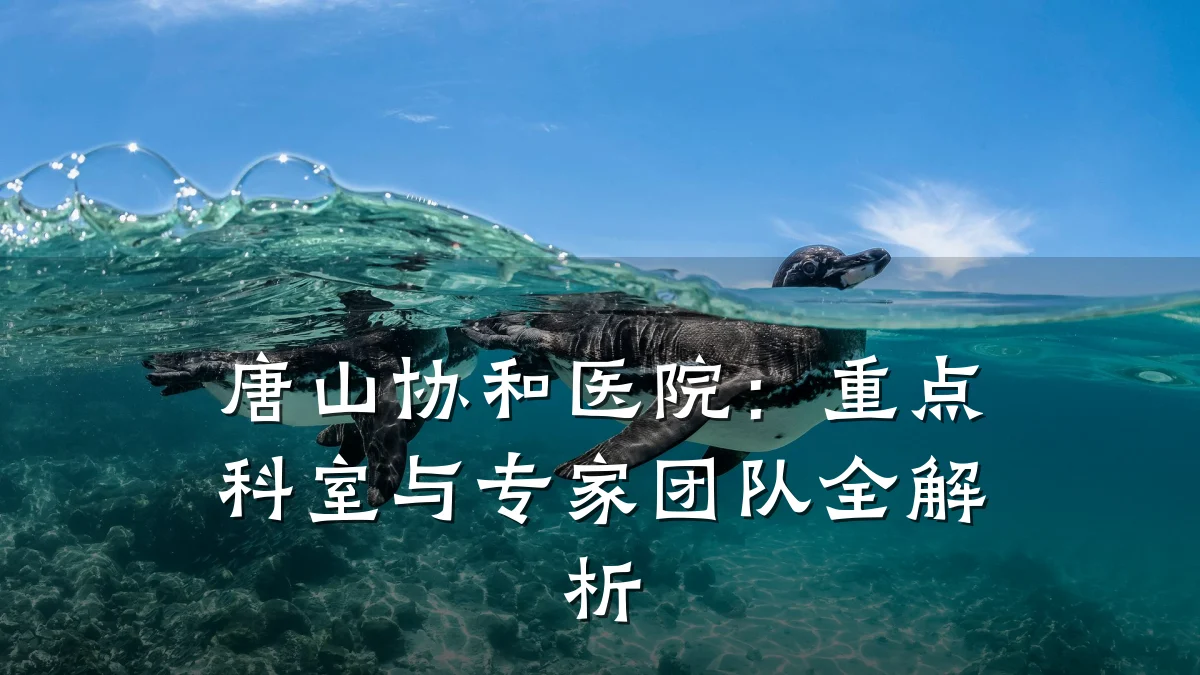 唐山协和医院:重点科室与专家团队全解析