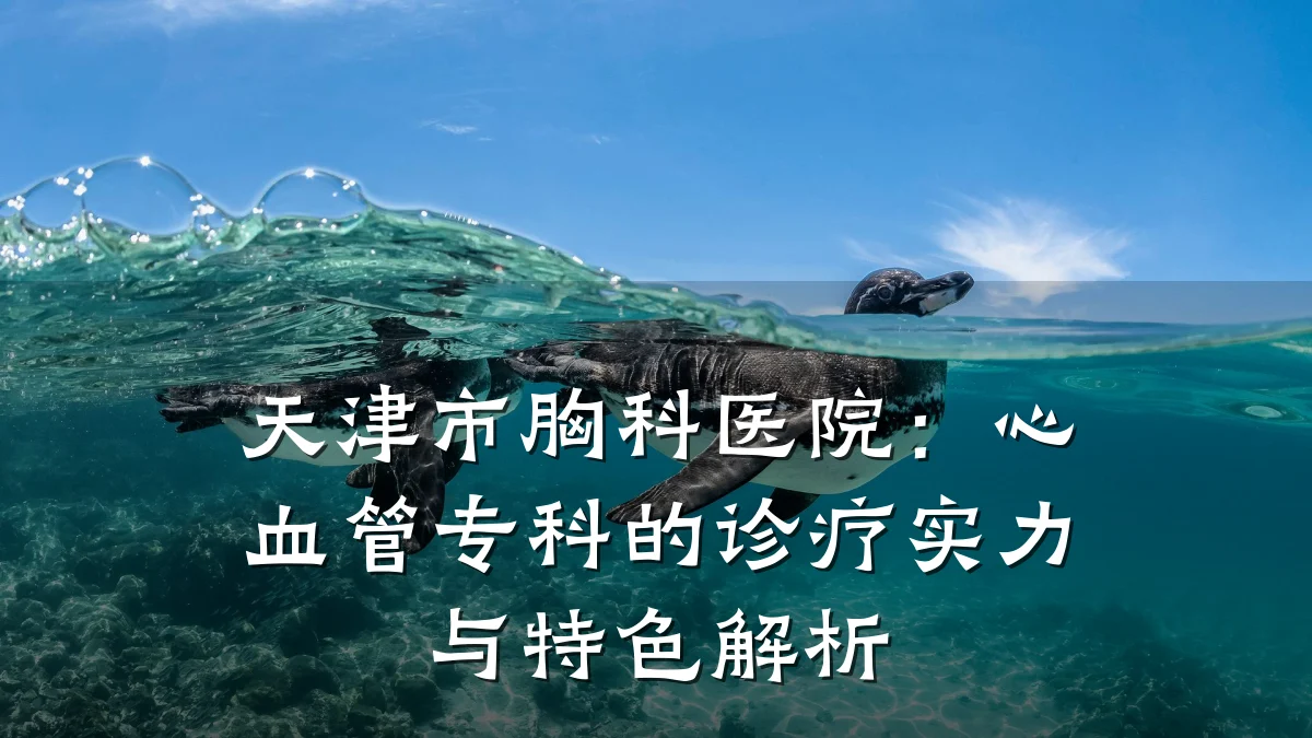 天津市胸科医院:心血管专科的诊疗实力与特色解析