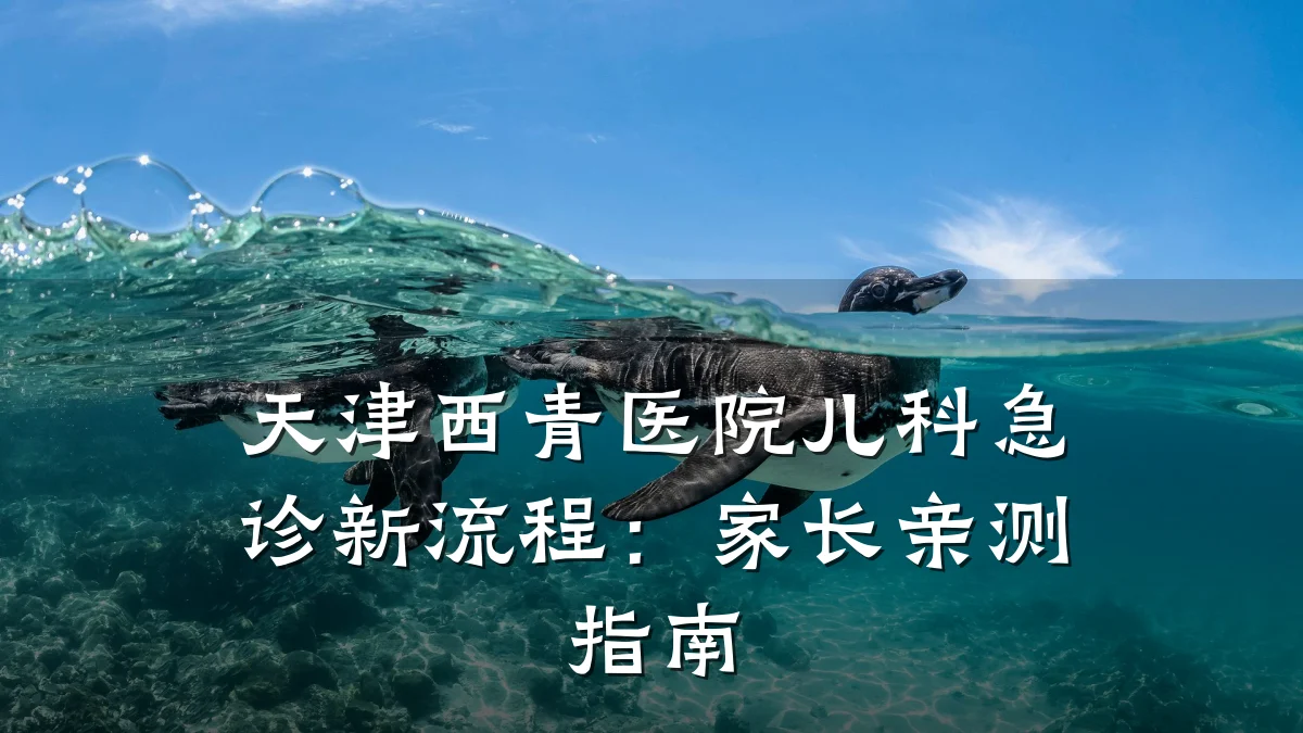 天津西青医院儿科急诊新流程:家长亲测指南