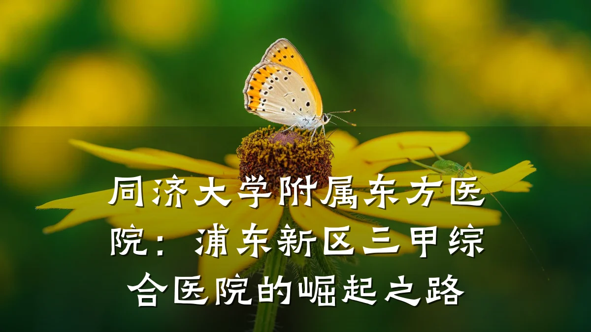 同济大学附属东方医院:浦东新区三甲综合医院的崛起之路