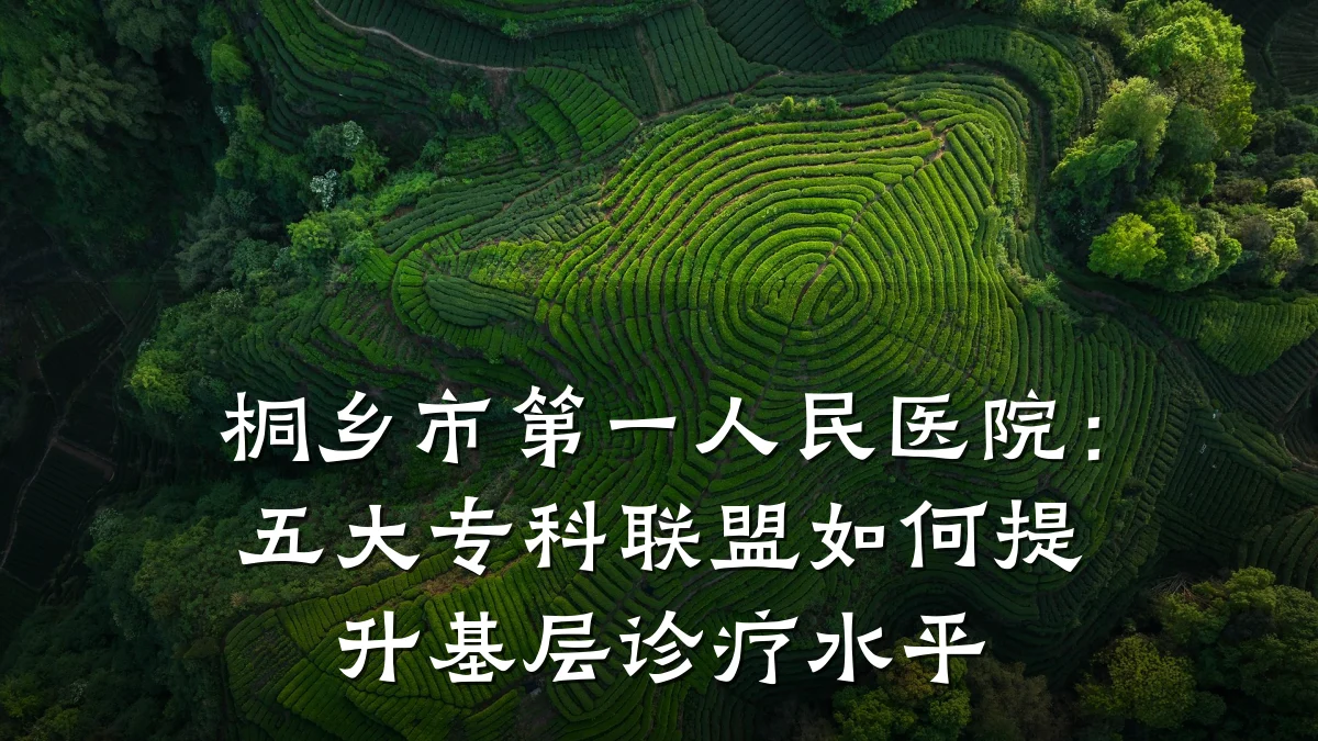桐乡市第一人民医院:五大专科联盟如何提升基层诊疗水平