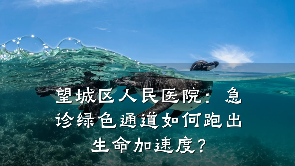 望城区人民医院:急诊绿色通道如何跑出生命加速度?
