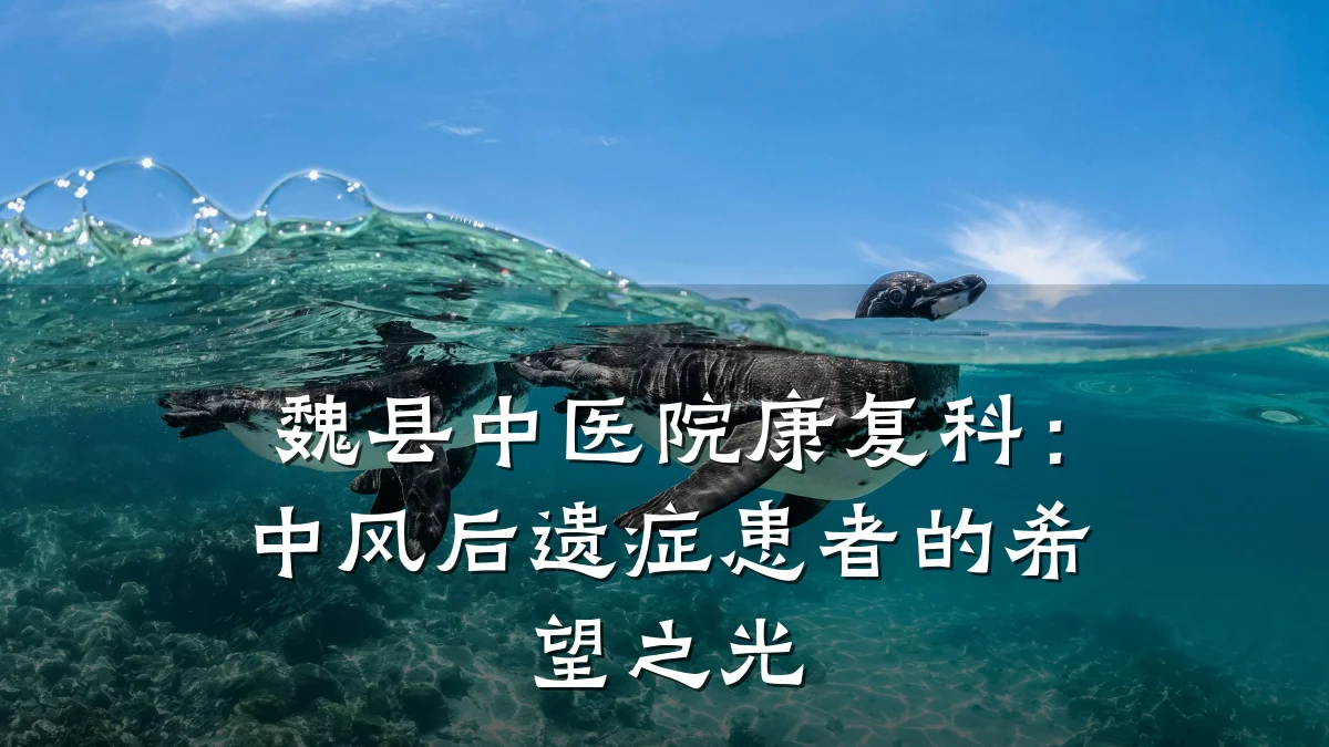 魏县中医院康复科:中风后遗症患者的希望之光