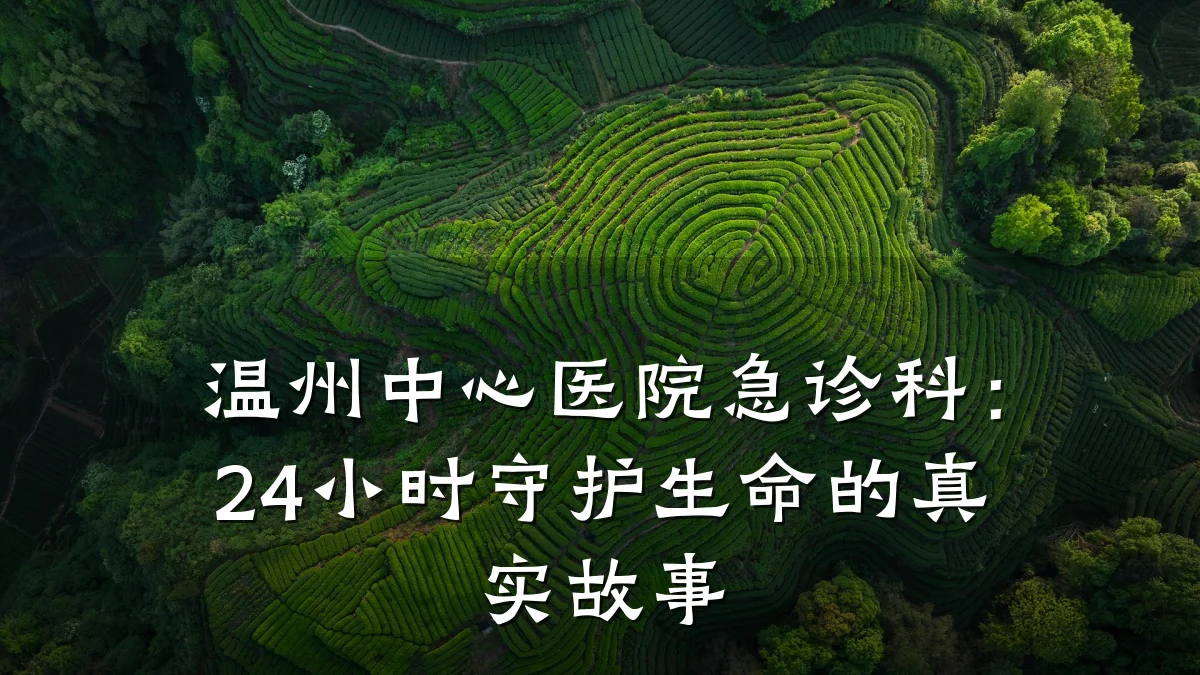 温州中心医院急诊科:24小时守护生命的真实故事
