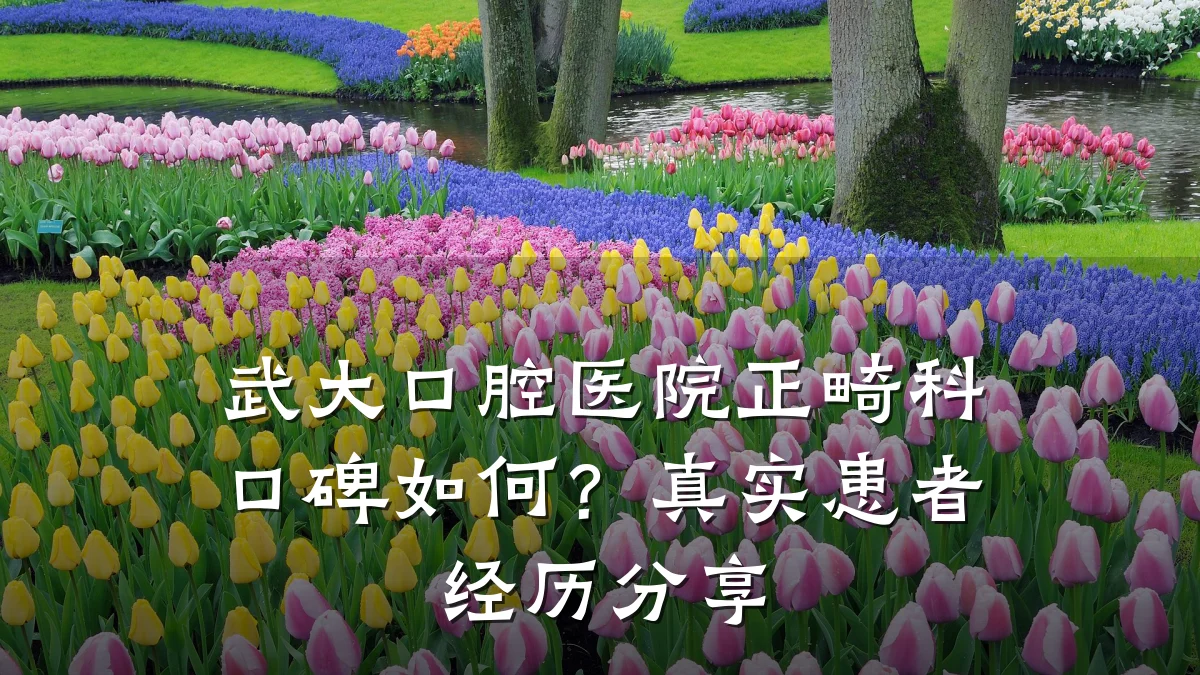 武大口腔医院正畸科口碑如何?真实患者经历分享