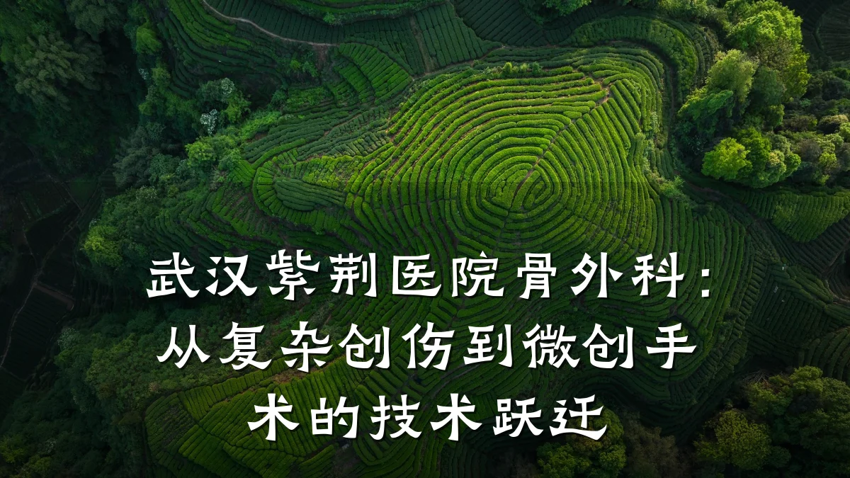 武汉紫荆医院骨外科:从复杂创伤到微创手术的技术跃迁