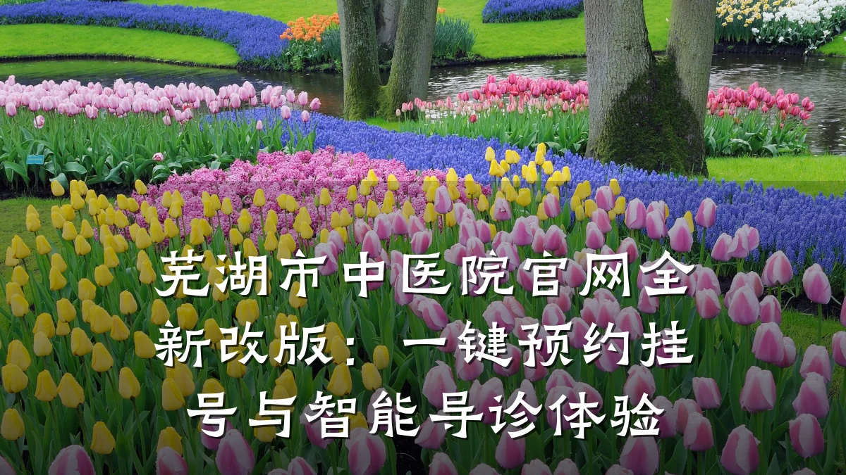 芜湖市中医院官网全新改版:一键预约挂号与智能导诊体验