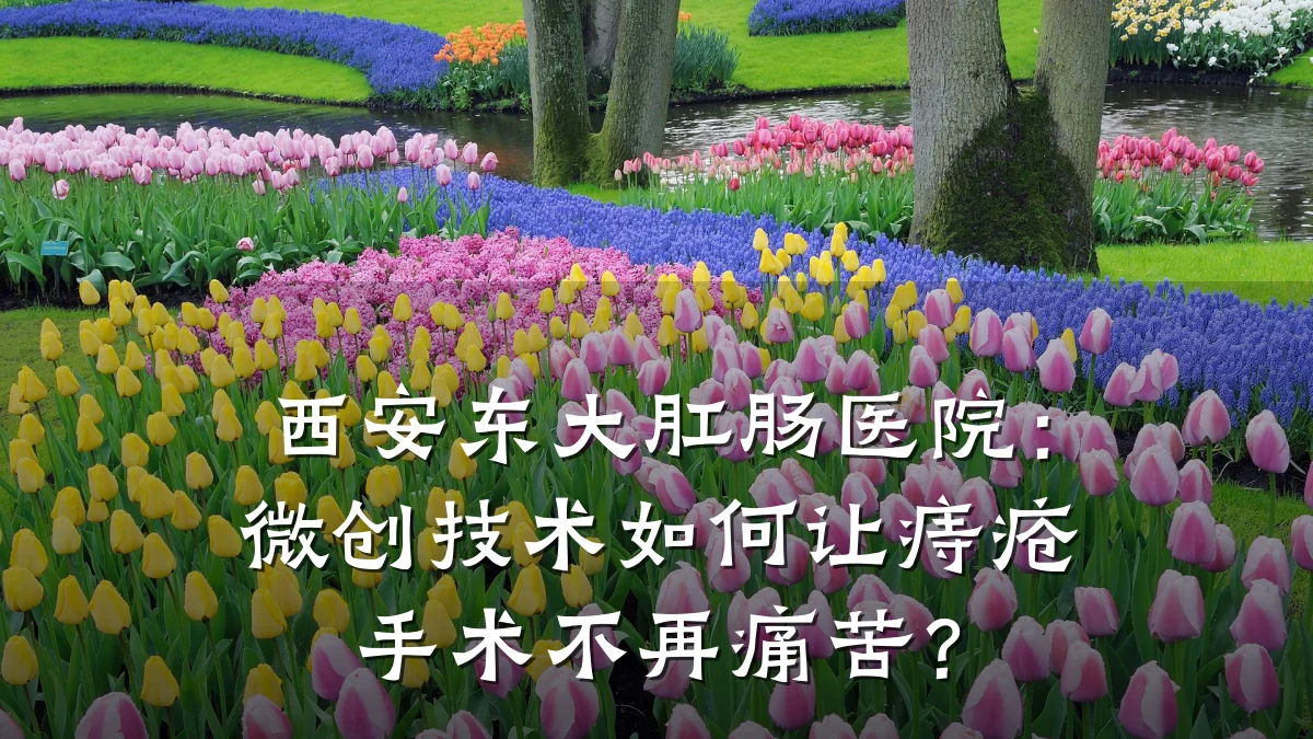 西安东大肛肠医院:微创技术如何让痔疮手术不再痛苦?