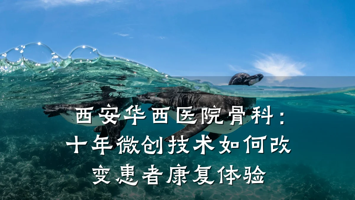 西安华西医院骨科：十年微创技术如何改变患者康复体验