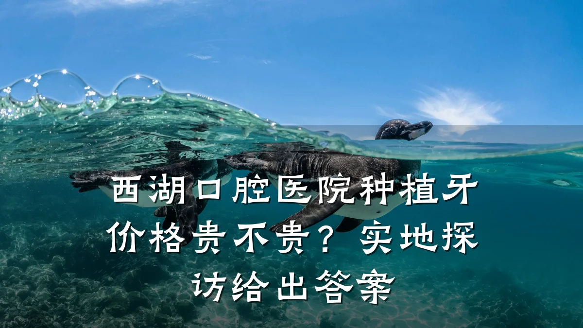 西湖口腔医院种植牙价格贵不贵?实地探访给出答案