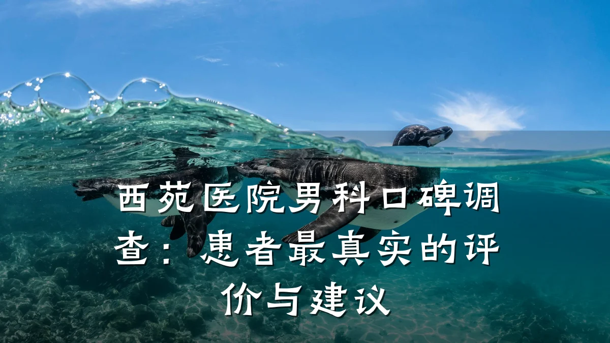 西苑医院男科口碑调查：患者最真实的评价与建议