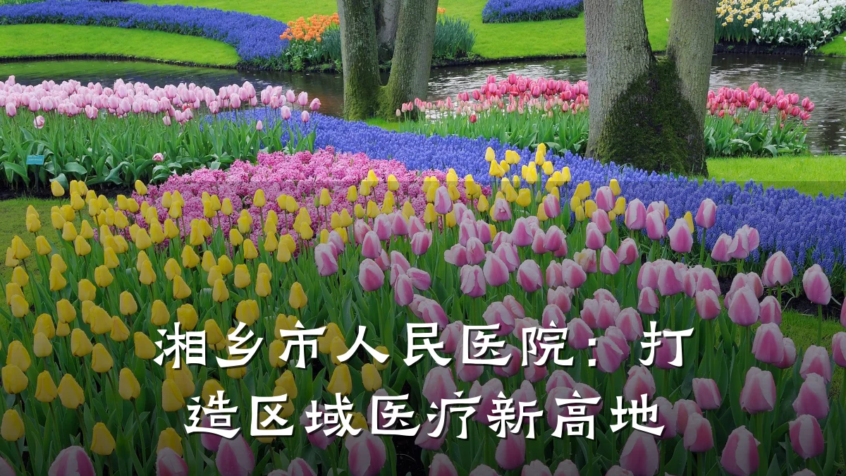 湘乡市人民医院:打造区域医疗新高地