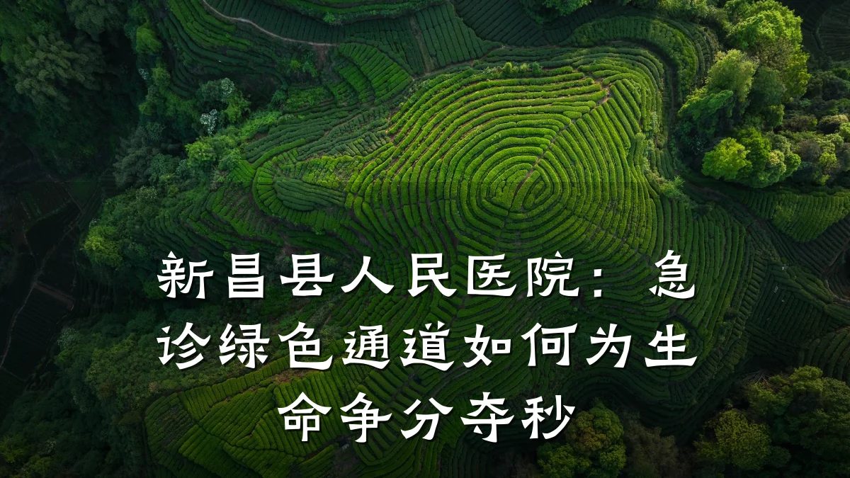 新昌县人民医院:急诊绿色通道如何为生命争分夺秒