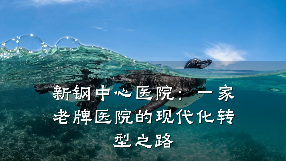 新钢中心医院：一家老牌医院的现代化转型之路