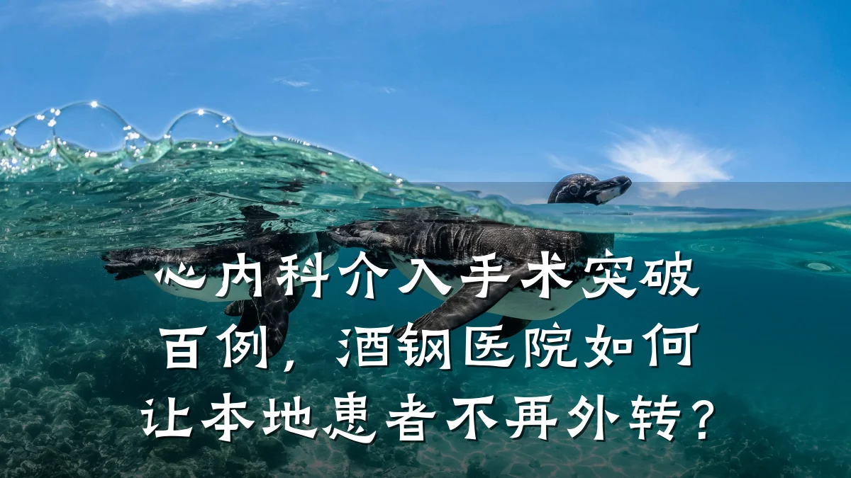 心内科介入手术突破百例,酒钢医院如何让本地患者不再外转?