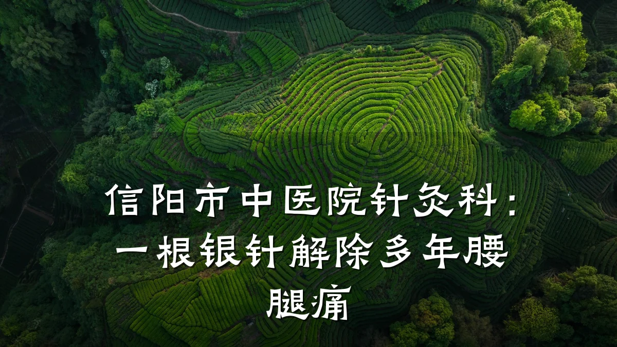 信阳市中医院针灸科：一根银针解除多年腰腿痛