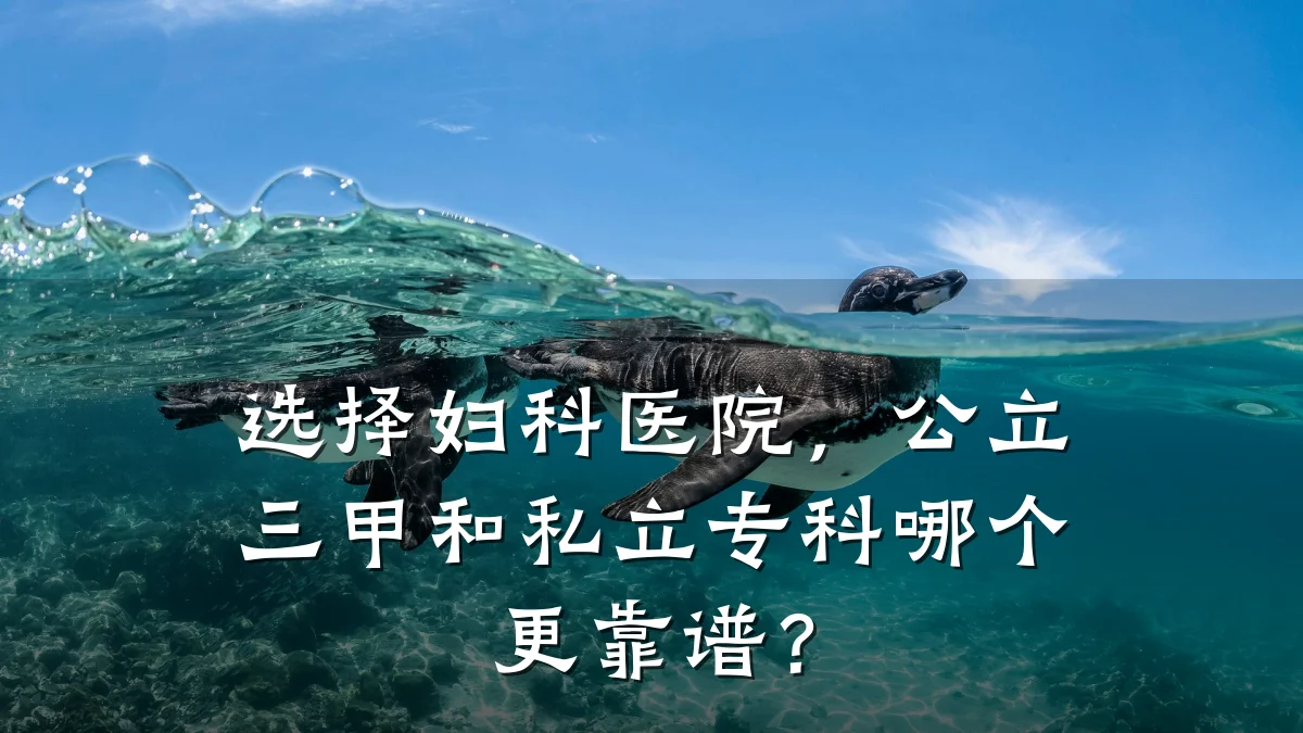 选择妇科医院,公立三甲和私立专科哪个更靠谱?