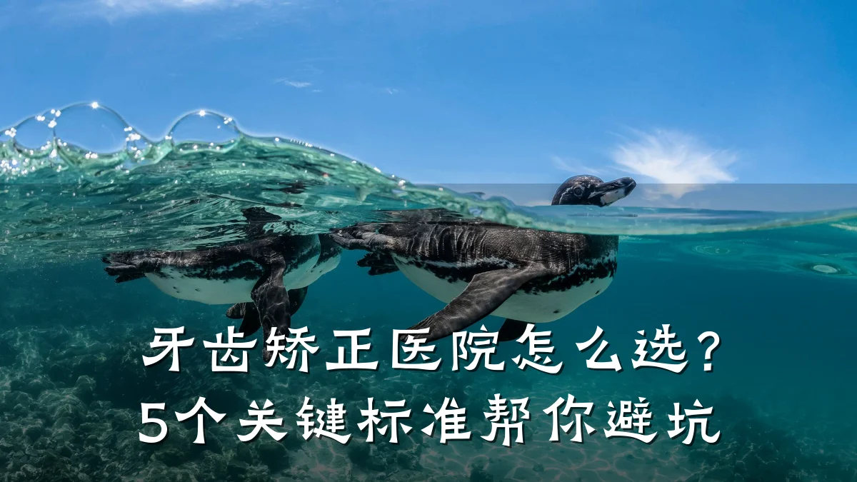 牙齿矫正医院怎么选？5个关键标准帮你避坑