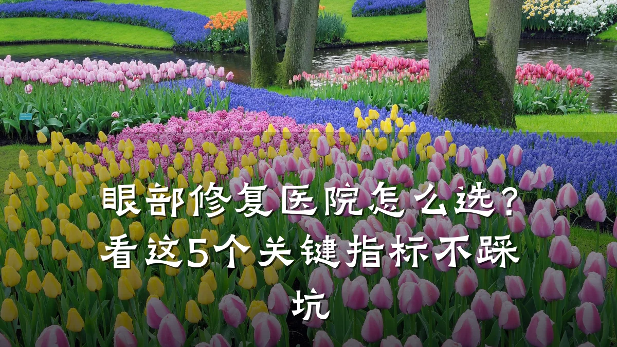 眼部修复医院怎么选?看这5个关键指标不踩坑