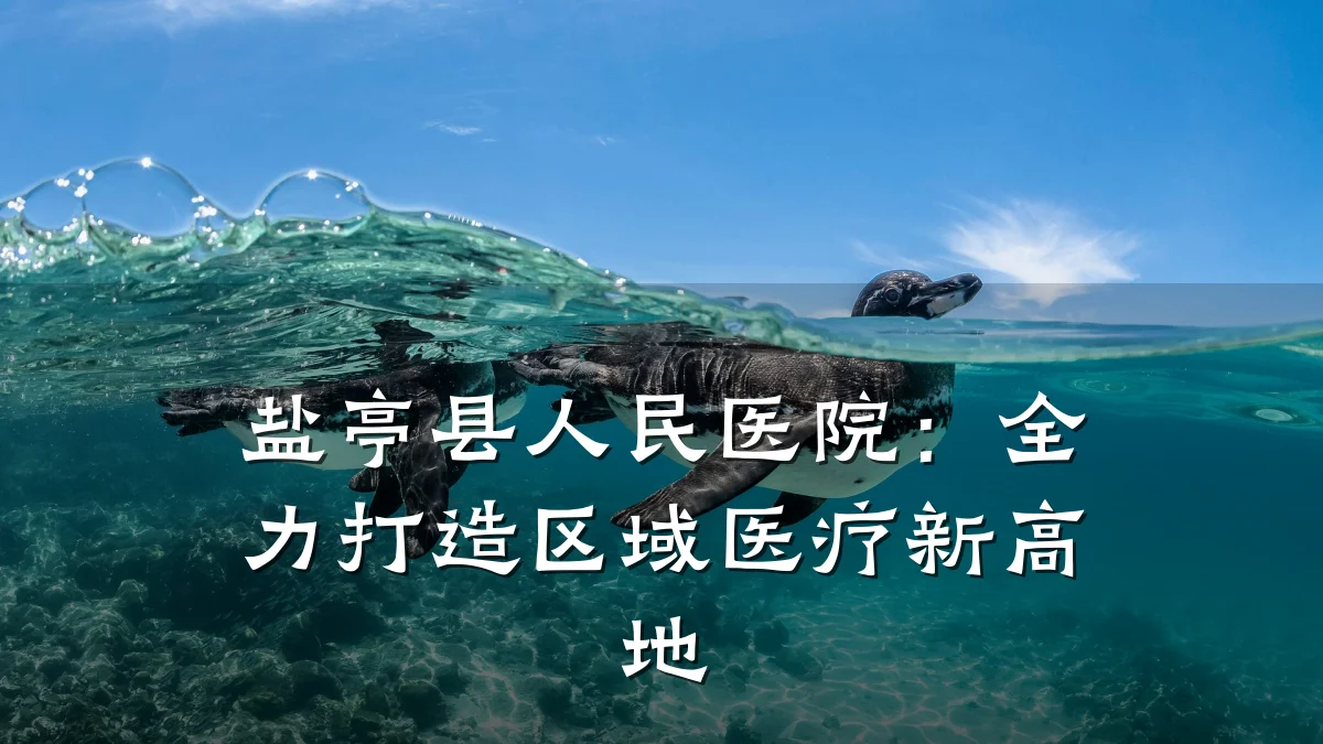 盐亭县人民医院:全力打造区域医疗新高地