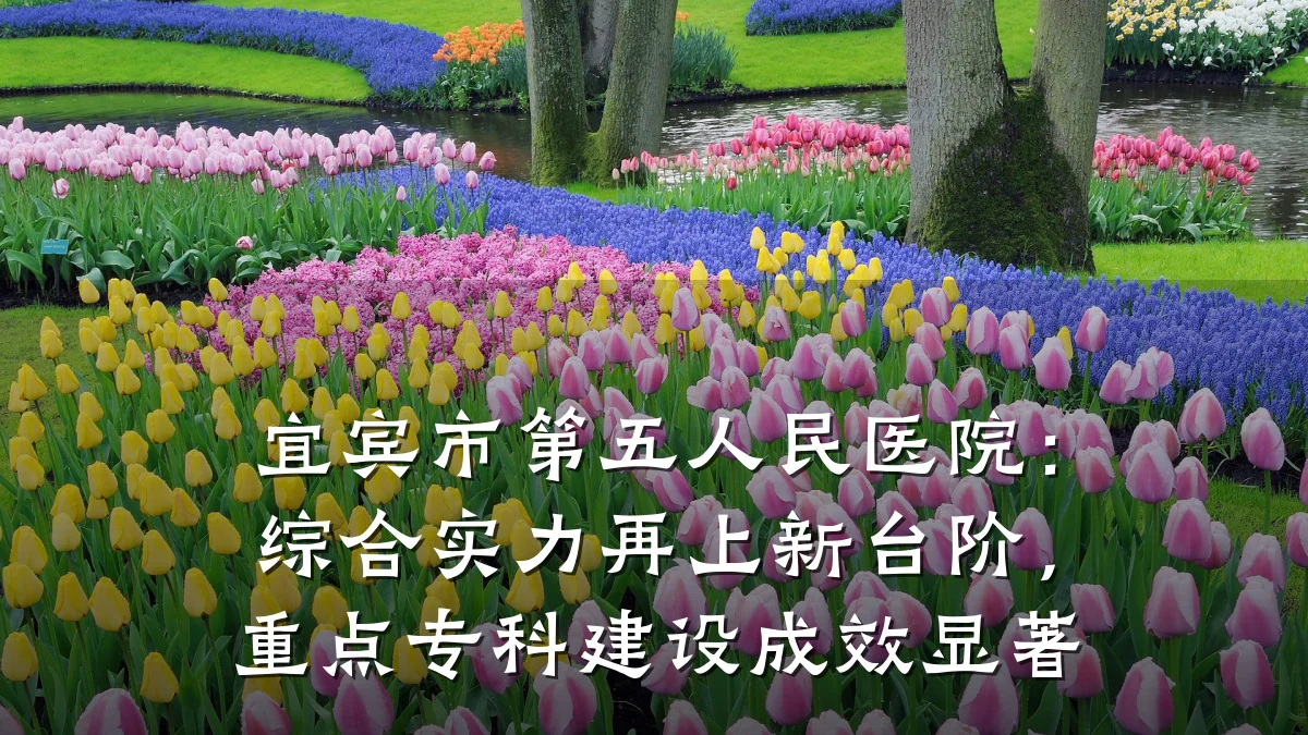 宜宾市第五人民医院:综合实力再上新台阶,重点专科建设成效显著