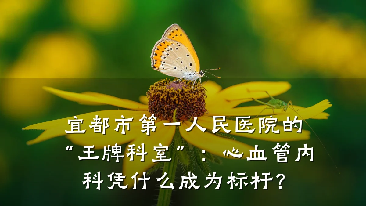 宜都市第一人民医院的“王牌科室”:心血管内科凭什么成为标杆?