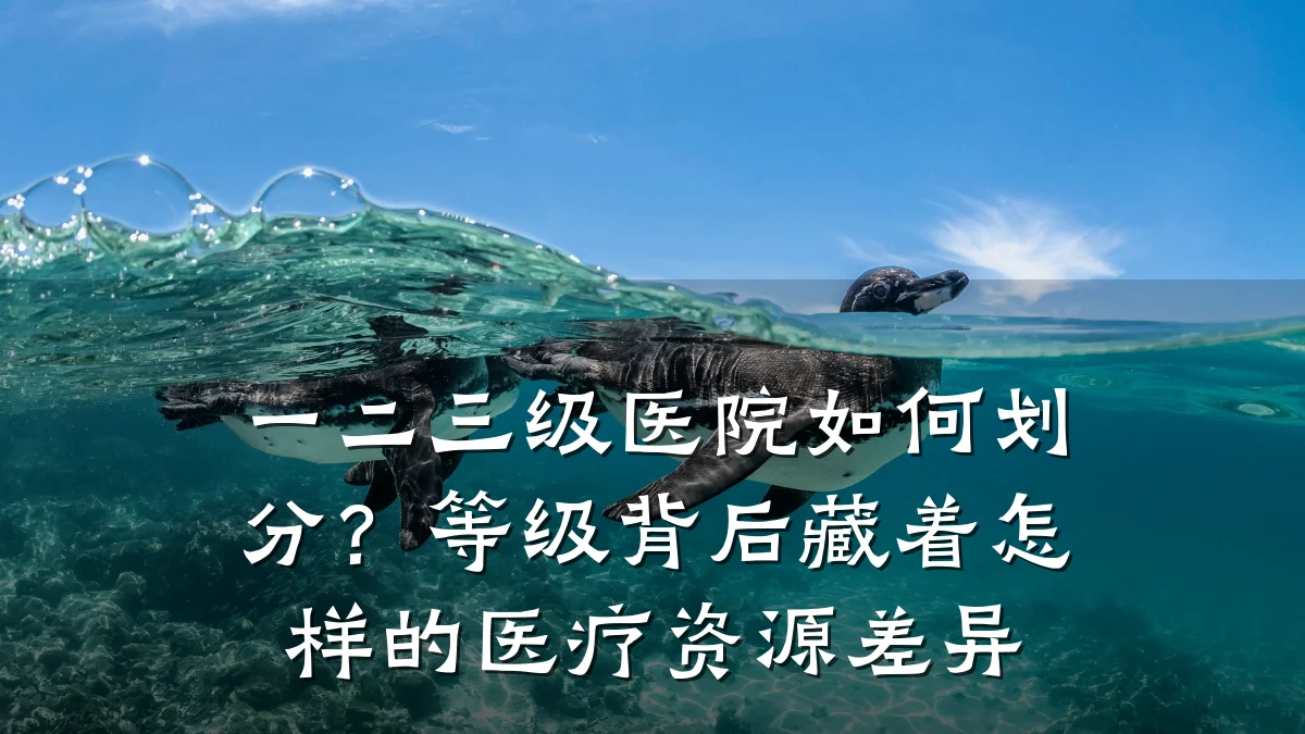 一二三级医院如何划分?等级背后藏着怎样的医疗资源差异