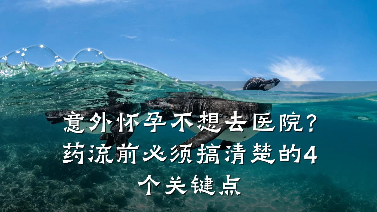 意外怀孕不想去医院？药流前必须搞清楚的4个关键点