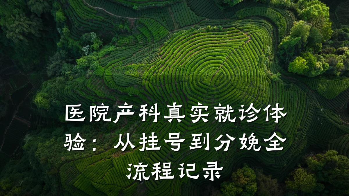医院产科真实就诊体验：从挂号到分娩全流程记录