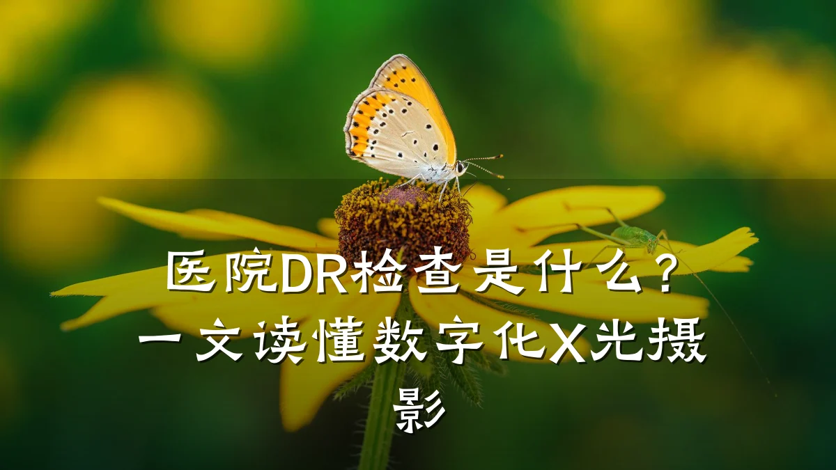 医院DR检查是什么?一文读懂数字化X光摄影