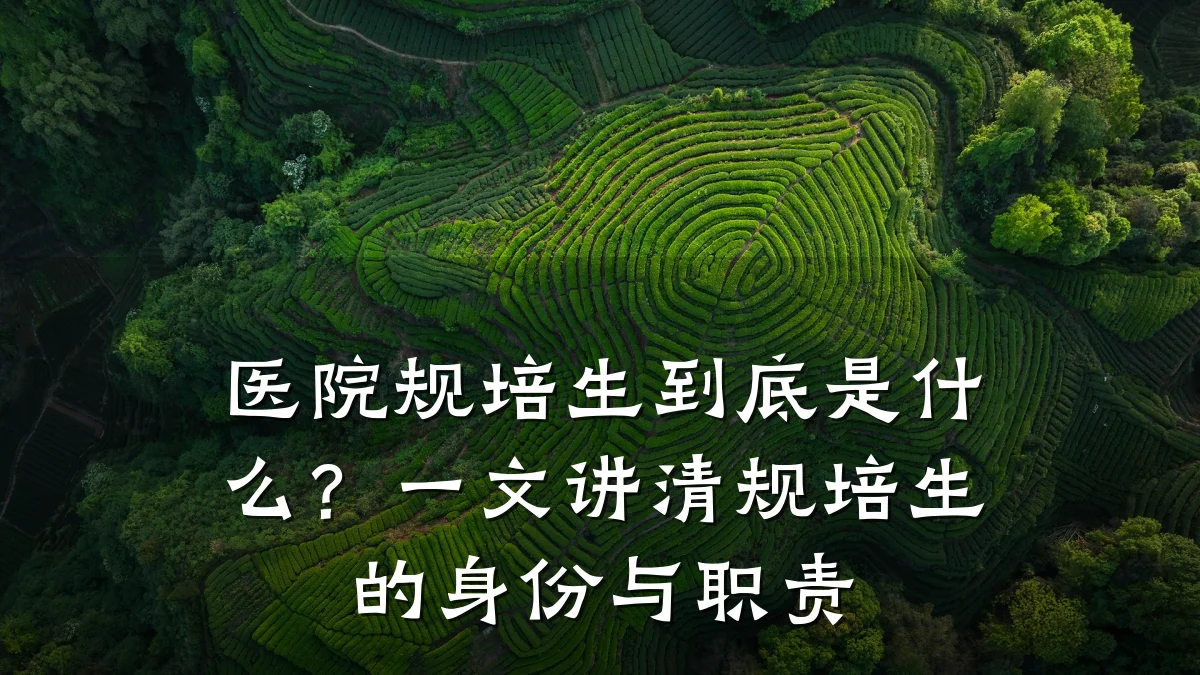 医院规培生到底是什么？一文讲清规培生的身份与职责