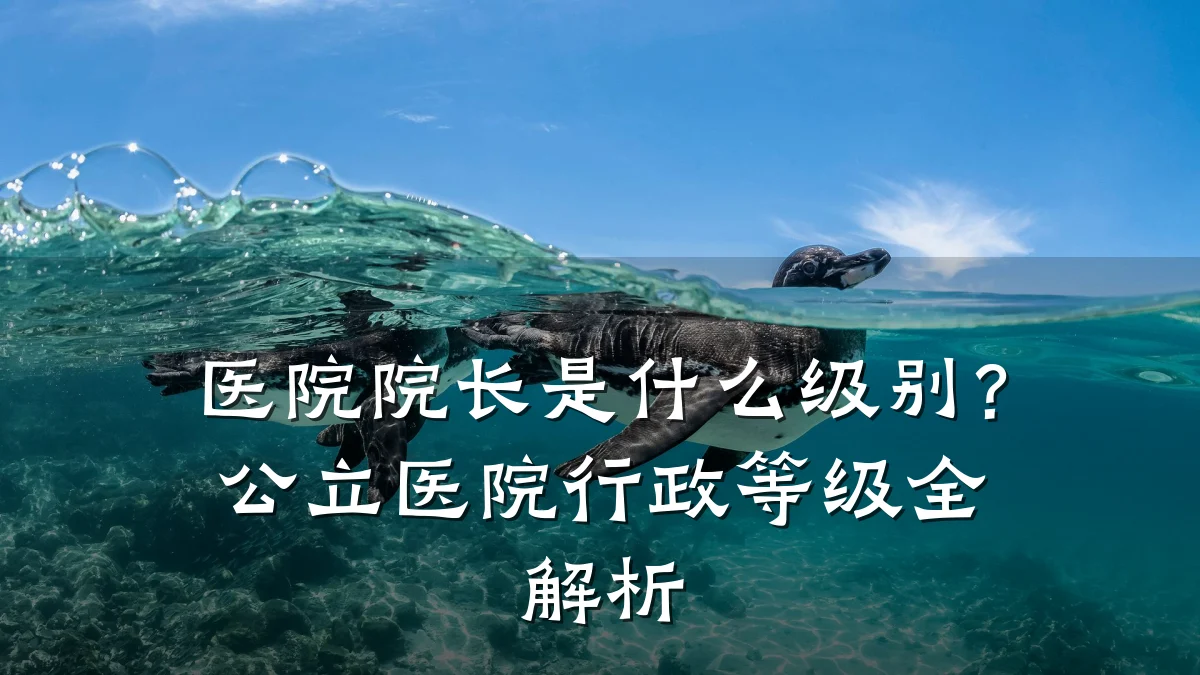 医院院长是什么级别？公立医院行政等级全解析