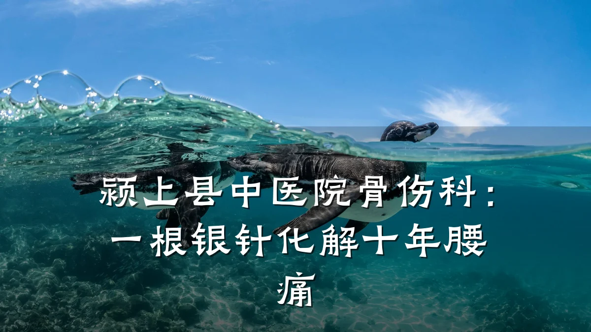 颍上县中医院骨伤科:一根银针化解十年腰痛