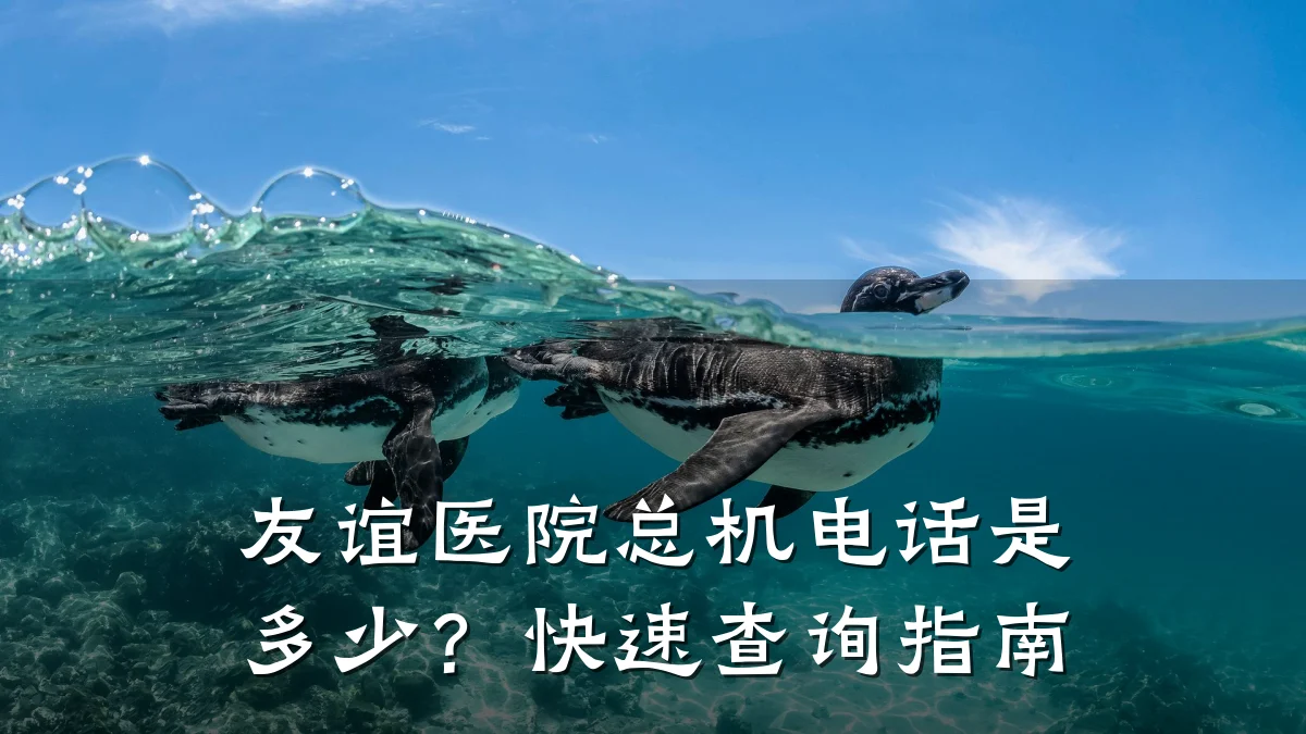 友谊医院总机电话是多少?快速查询指南