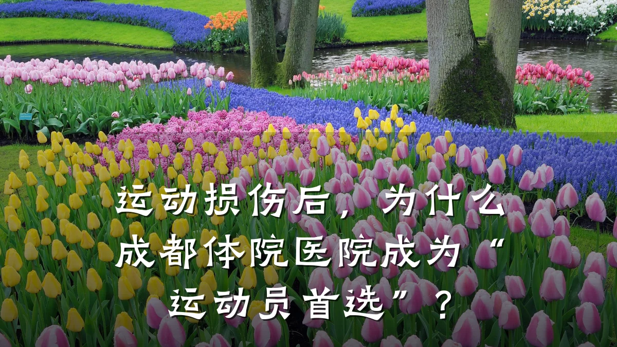 运动损伤后，为什么成都体院医院成为“运动员首选”？