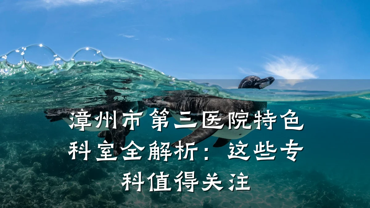 漳州市第三医院特色科室全解析：这些专科值得关注