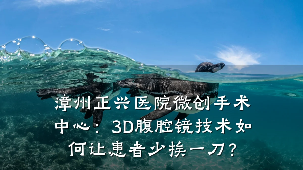 漳州正兴医院微创手术中心:3D腹腔镜技术如何让患者少挨一刀?